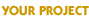 Your Website Project